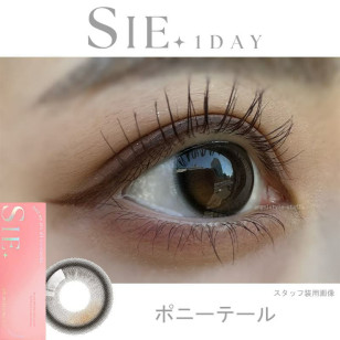SIE 1day Ponytail シー ワンデー ポニーテール